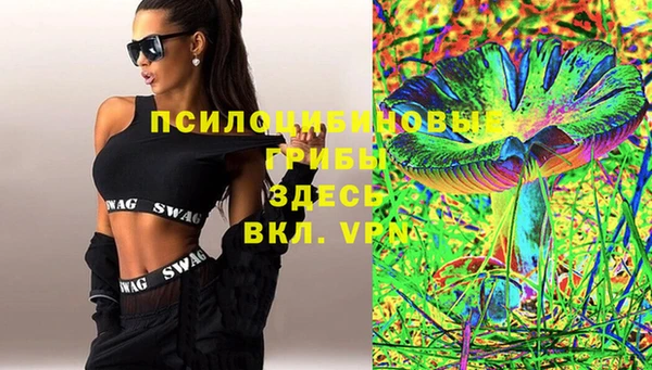ECSTASY Белокуриха