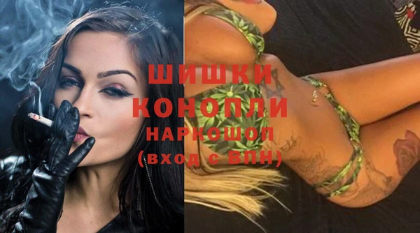 ECSTASY Белокуриха