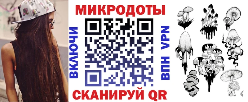 Галлюциногенные грибы Psilocybine cubensis  Волгореченск 